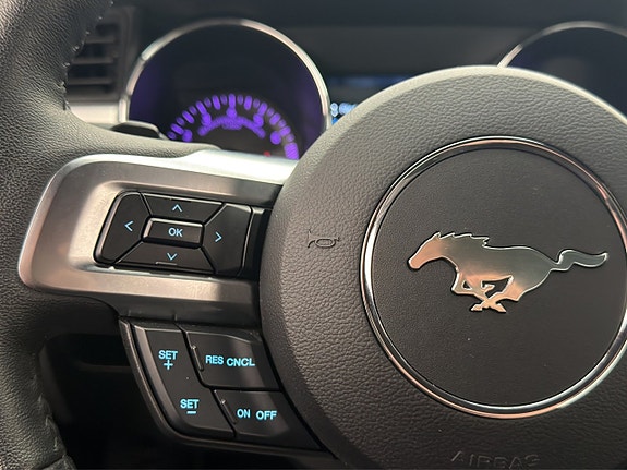 Ford Mustang 15 of 30