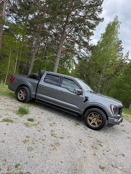 Ford F-150 3 of 5