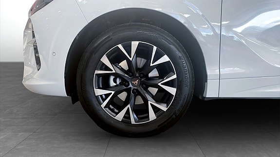 Cupra Terramar 6 of 14