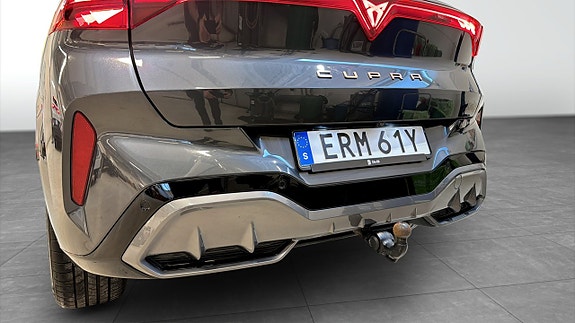 Cupra Terramar 13 of 21