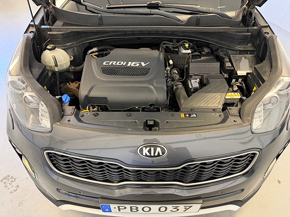 Kia Sportage 15 of 15