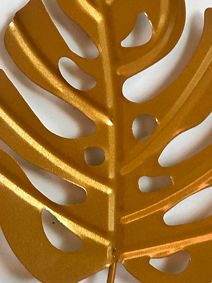 Product image 6 of 23
