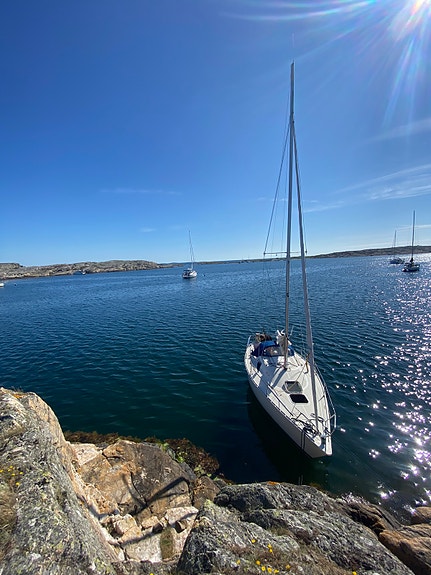 CIRRUS 7.8 (ALBIN) — View photo 1