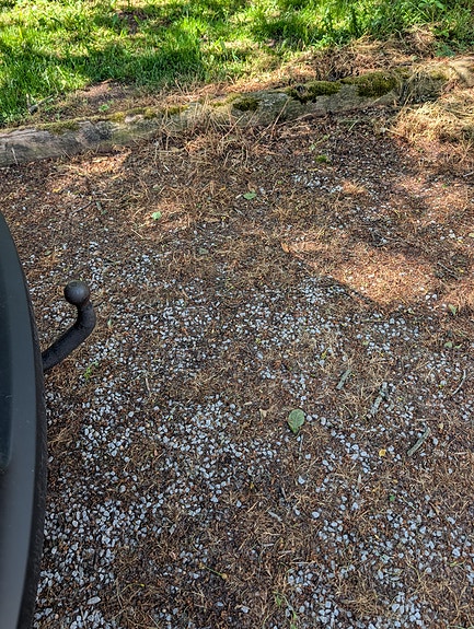 Kia Sportage 6 of 6