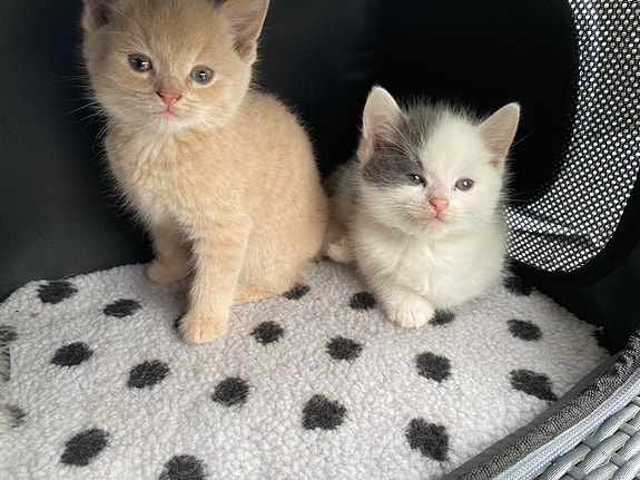 Product image 8 of 13