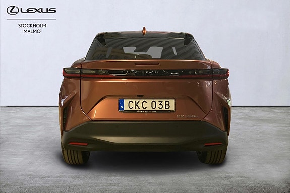 Lexus RZ300e 19 of 22
