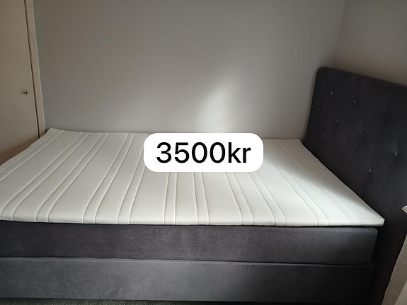Product image 11 of 15