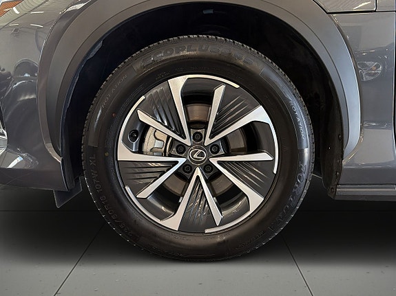 Lexus RZ300e 14 of 21