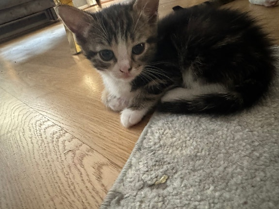 Product image 8 of 10