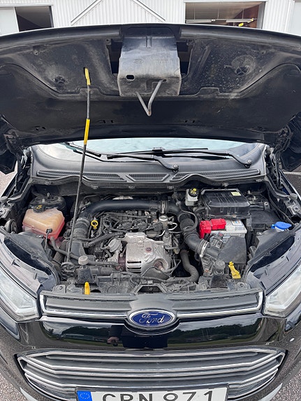 Ford Ecosport 7 of 8