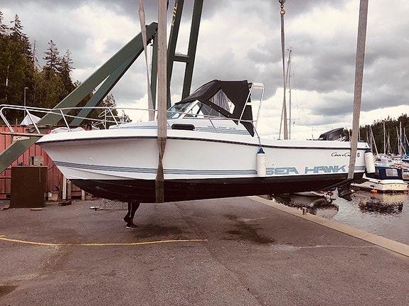 CHRIS CRAFT SEA HAWK 216 WA 4 of 5