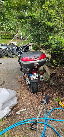 Suzuki GSF1200S Bandit 4 of 5