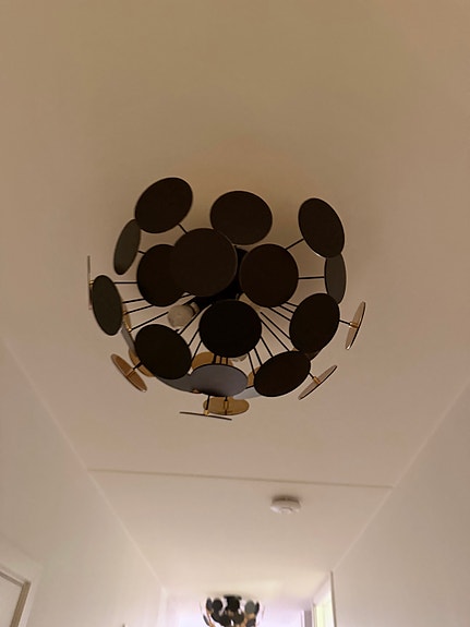 Product image 15 of 41