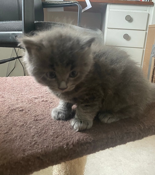 Product image 3 of 17