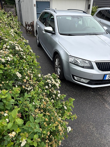 Skoda Octavia 3 of 5