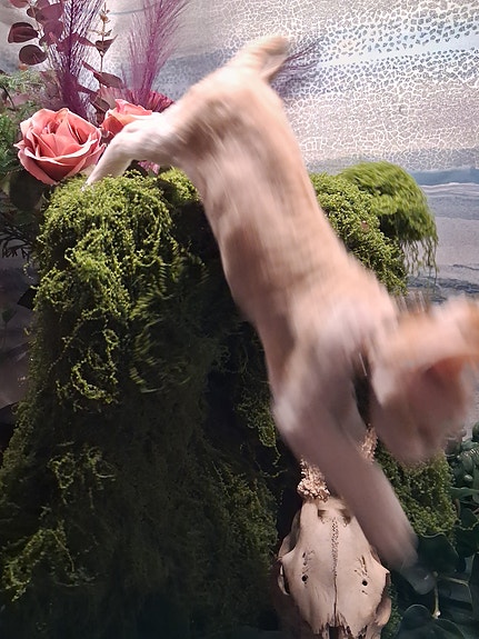 Product image 13 of 15