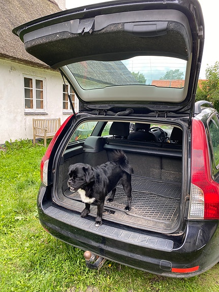 Volvo V50 4 of 5