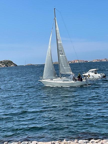 CUMULUS 28 (ALBIN) — Vedi foto 1