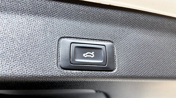 Cupra Terramar 14 of 21