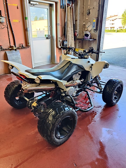 SMC Wildcat RE 3 of 3
