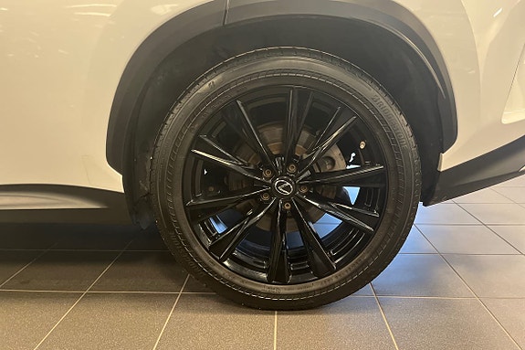 Lexus NX350h 24 of 25
