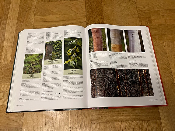 Product image 22 of 26