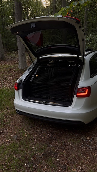 Audi A6 12 of 12