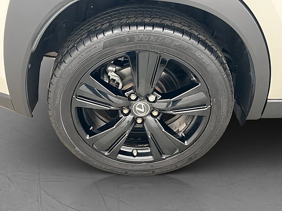 Lexus UX250h 25 of 28