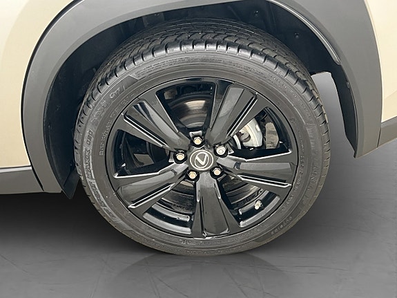 Lexus UX250h 28 of 28