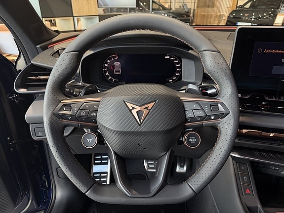 Cupra Terramar 11 of 17