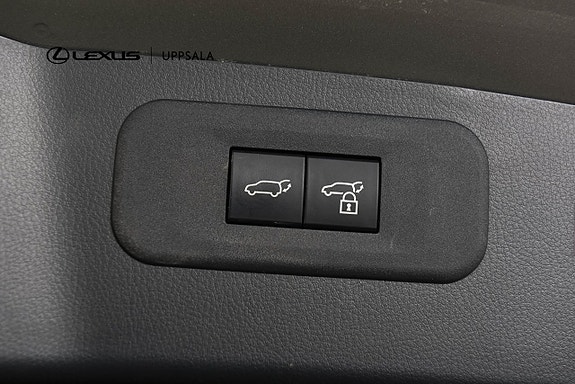 Lexus NX450h+ 10 of 30