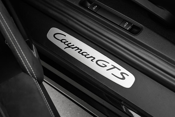 Porsche 718 Cayman GTS 19 of 30