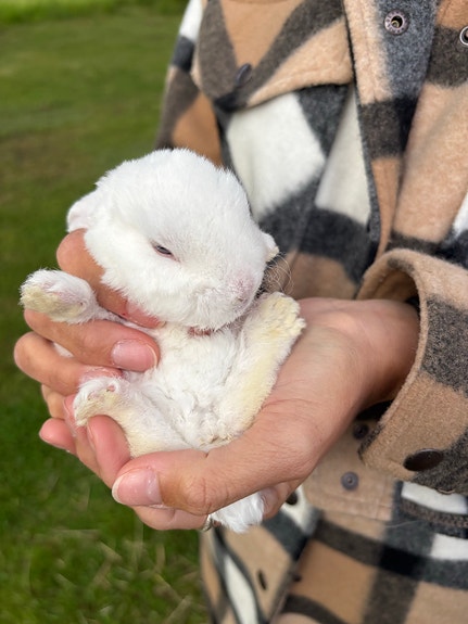 Product image 2 of 11