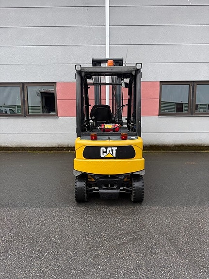 Cat 5T 4 of 5