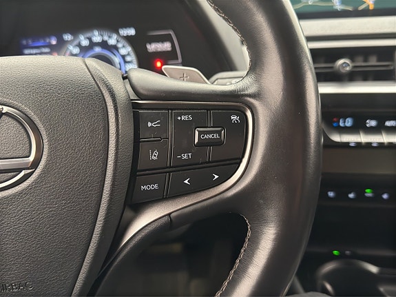 Lexus UX300e 19 of 30
