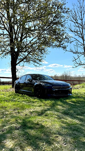 Kia Stinger 2 of 5