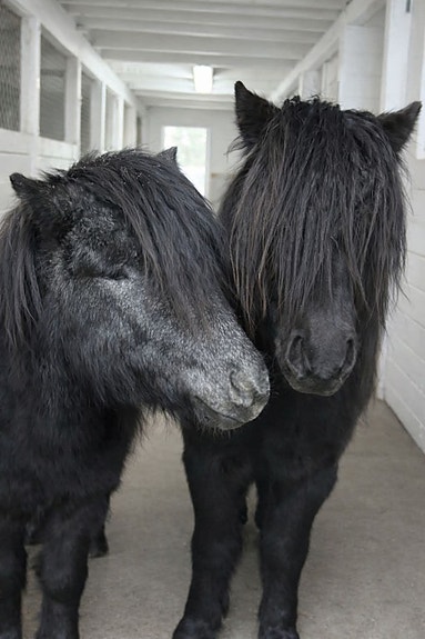Product image 2 of 13