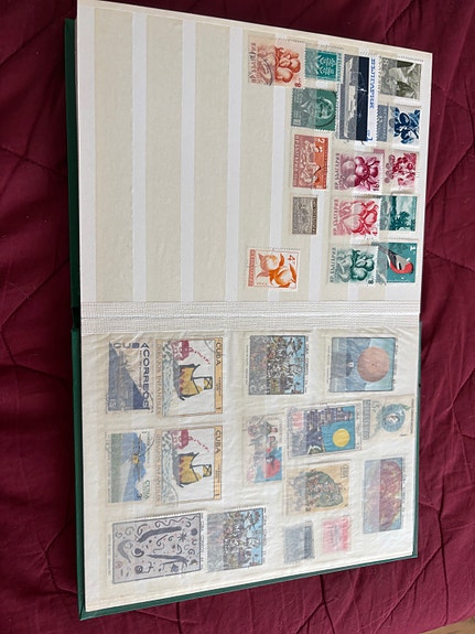 Product image 11 of 40