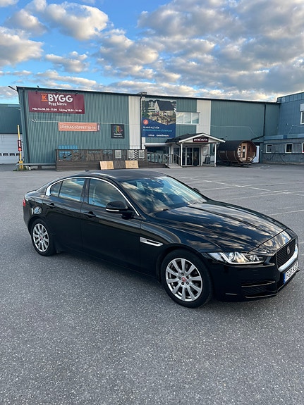Jaguar 2016