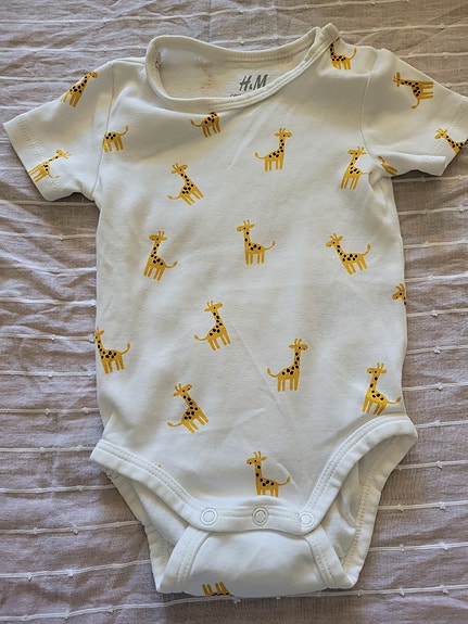 Product image 36 of 41