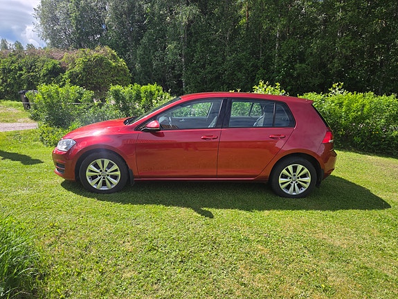 Volkswagen Golf VII 5 of 5