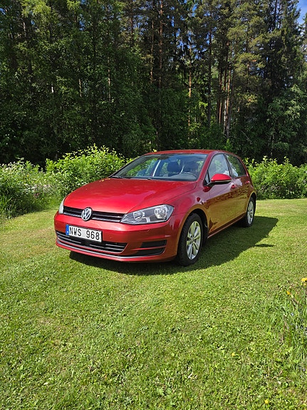Volkswagen Golf VII 2 of 5
