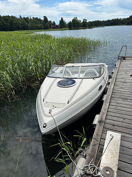 Stingray 195CX 3 of 5