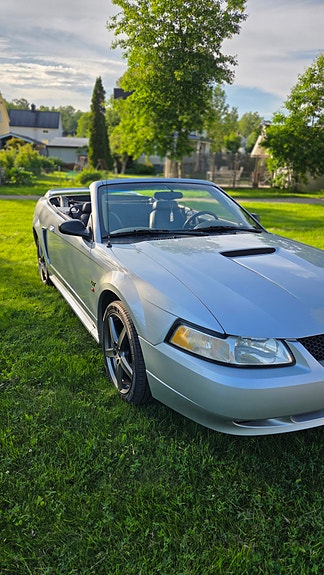 Ford Mustang 2 of 5