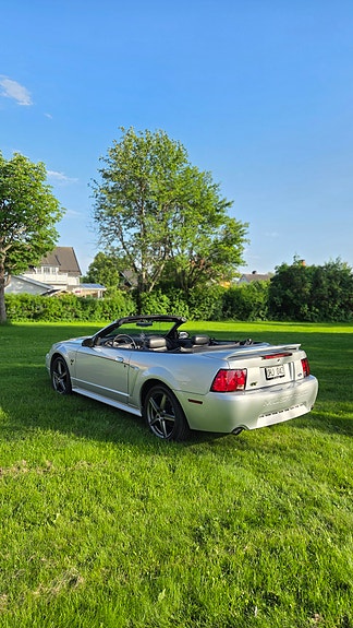 Ford Mustang 4 of 5
