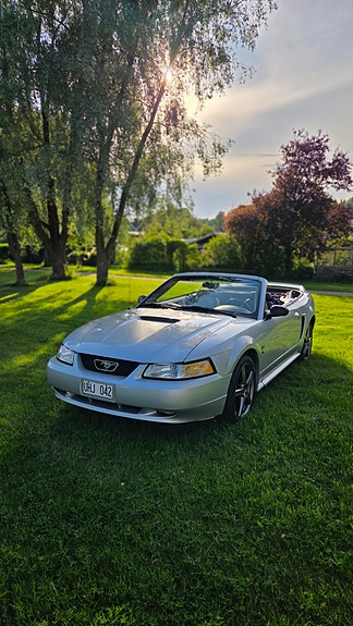 Ford Mustang 3 of 5