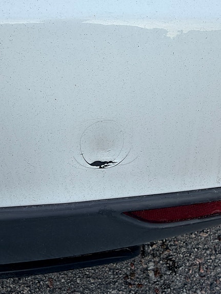 Tesla Model S 8 of 11