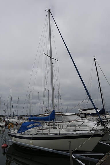 Forgus 31 — View photo 1