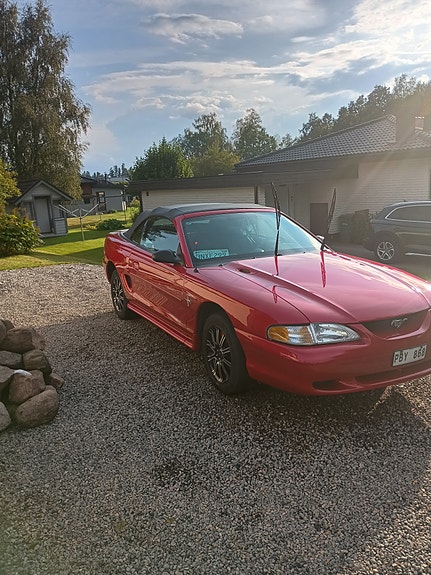 Ford Mustang 2 of 2