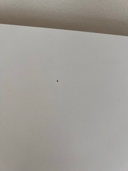 Product image 5 of 14